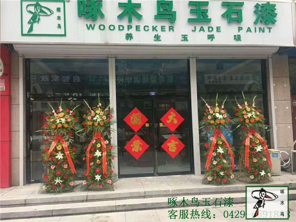 啄木鸟漆业集团 玉石漆 代理商  加盟商