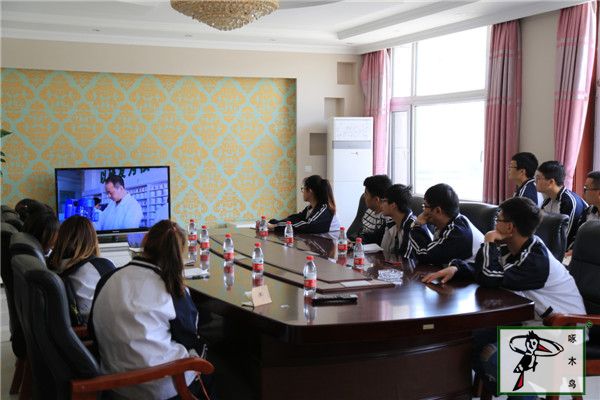 啄木鸟漆业集团 玉石漆 代理商  加盟商