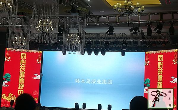 啄木鸟漆业集团 玉石漆 代理商  加盟商