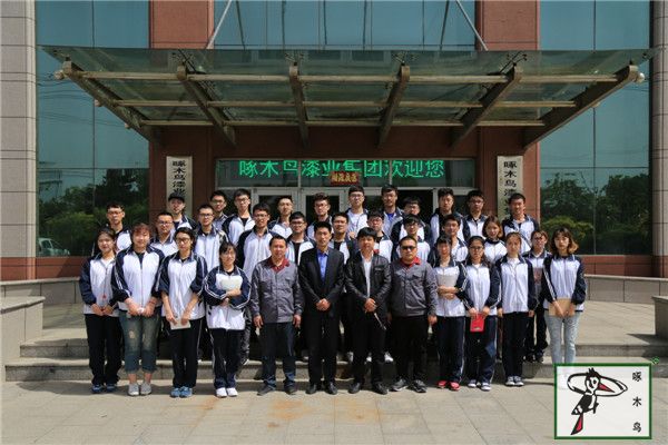 啄木鸟漆业集团 玉石漆 代理商  加盟商