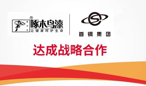 啄木鸟漆业集团 玉石漆 代理商  加盟商
