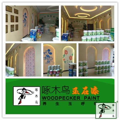 啄木鸟漆业集团 玉石漆 代理商  加盟商