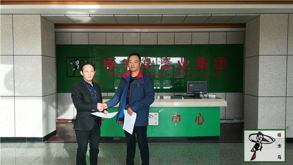 啄木鸟漆业集团 玉石漆 代理商  加盟商