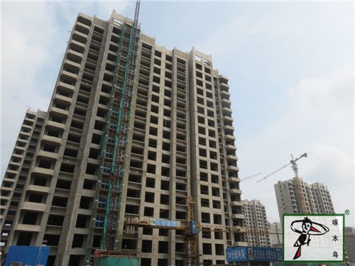  啄木鸟漆业集团 玉石漆 代理商  加盟商